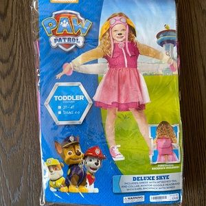Skye paw patrol costume